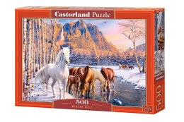 CASTORLAND Puzzle 500el. Winter Melt