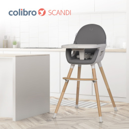 KRZESEŁKO DO KARMIENIA COLIBRO SCANDI ONYX 3W1