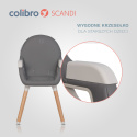 KRZESEŁKO DO KARMIENIA COLIBRO SCANDI ONYX 3W1