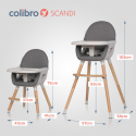 KRZESEŁKO DO KARMIENIA COLIBRO SCANDI ONYX 3W1